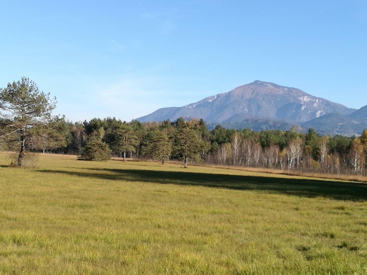 Landgasthof Piroutz Sankt Kanzian am Klopeiner See Dış mekan fotoğraf