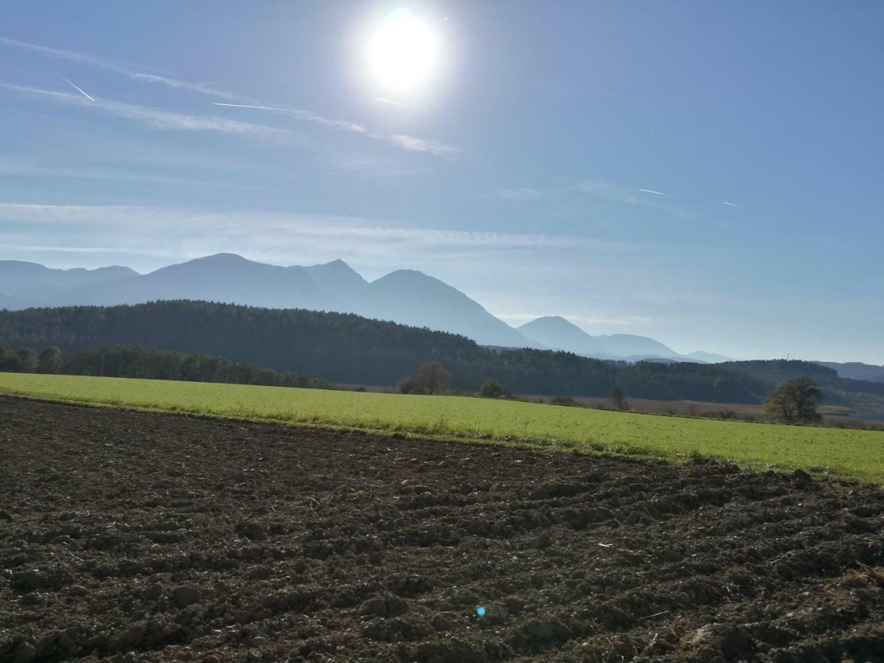 Landgasthof Piroutz Sankt Kanzian am Klopeiner See Dış mekan fotoğraf